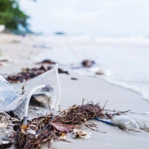 El primer G20 ambiental se centra en el impacto de los plásticos en el océano