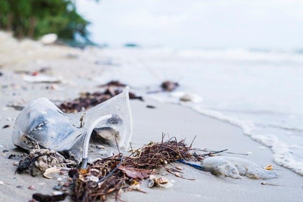 El Primer G20 Ambiental - Global Link Plásticos Reciclados de Ingeniería