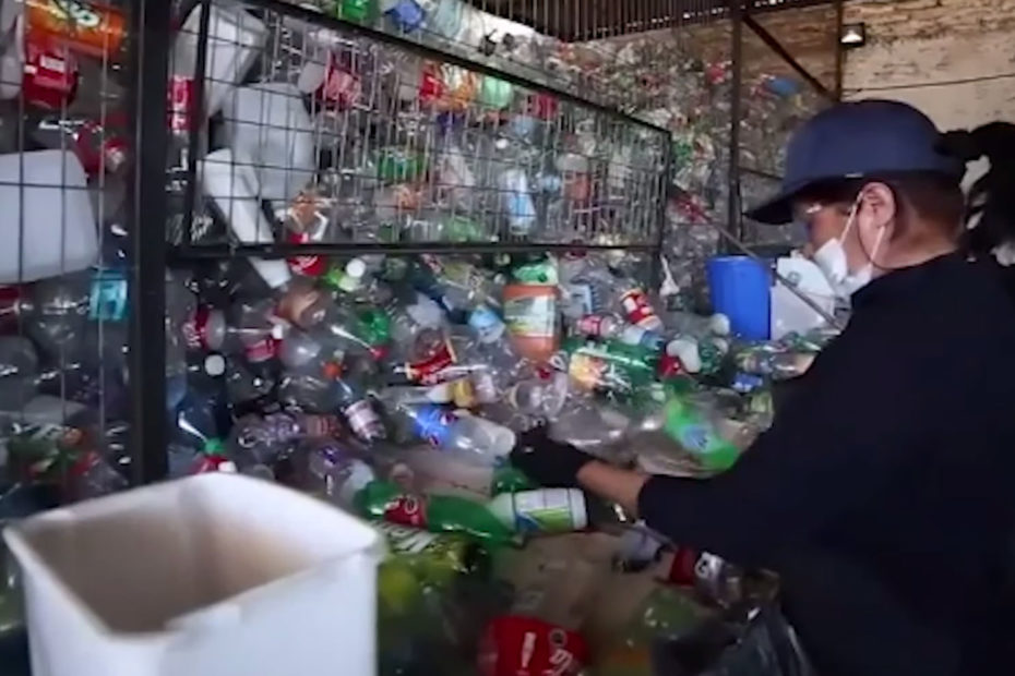 UNAM desarrolla enzima para degradación de plásticos - Global Link - Global Link Plásticos Reciclados de Ingeniería